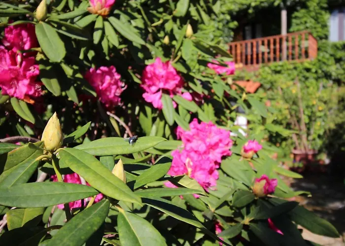 La Llosa De Hotell Somo