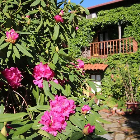 La Llosa De Hotel
